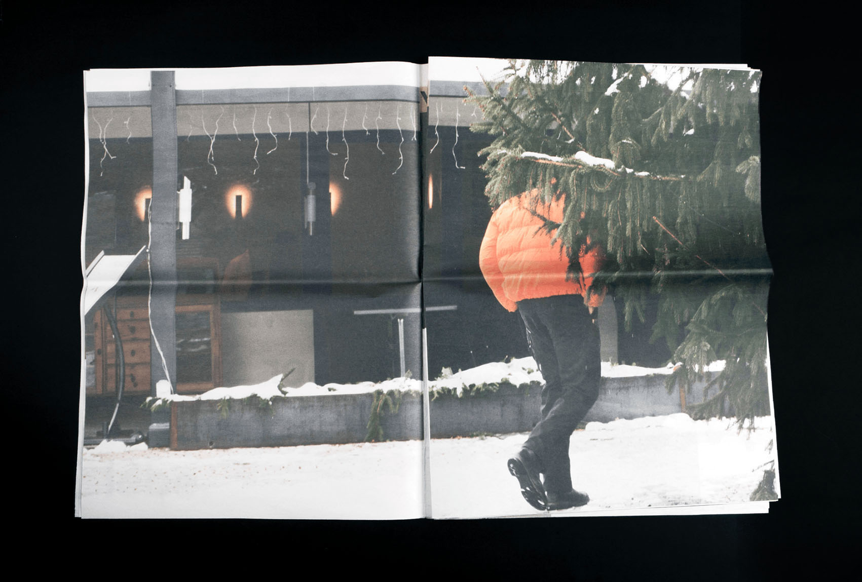Journal sur Bern West, page avec une image; un homme avec la tête cachée derrière un sapin.